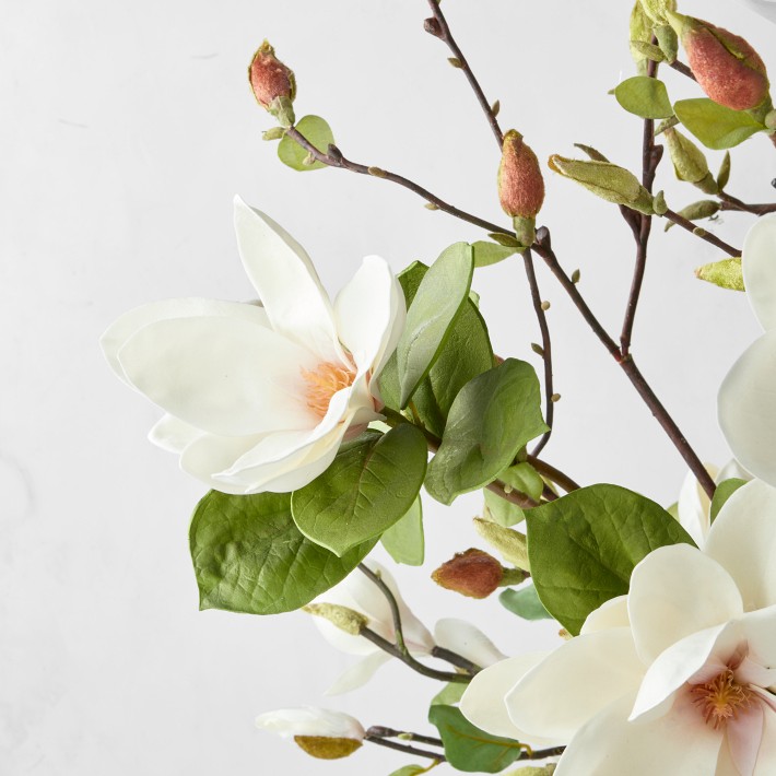 Faux Magnolia Flower & Branch Arrangement in Silver Vase Williams Sonoma