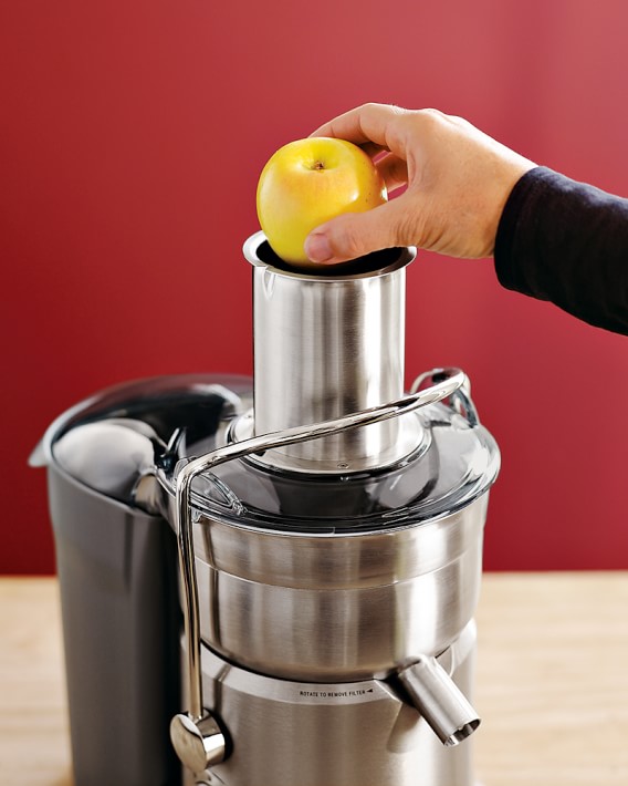 Breville Juice Fountain Duo Juicer Williams Sonoma