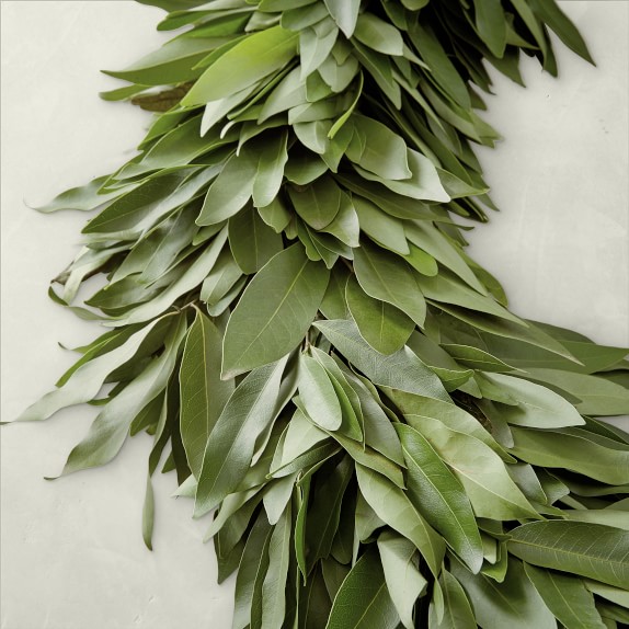 Bay Leaf Garland Williams Sonoma