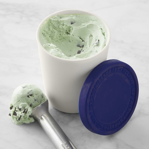 Ice Cream Storage Tub 1Qt. Blue Williams Sonoma