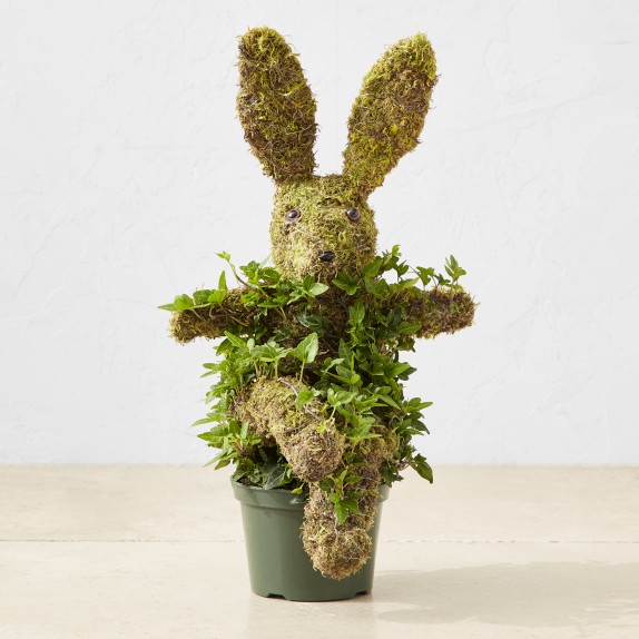 Potted Easter Bunny Ivy & Moss Live Topiary | Williams Sonoma