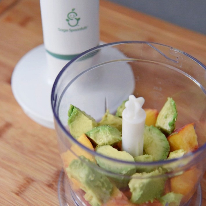 Sage Spoonfuls Baby Puree & Blend Williams Sonoma