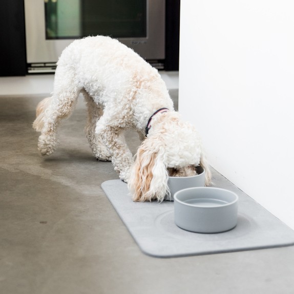Dorai Home Dog Bowls Williams Sonoma