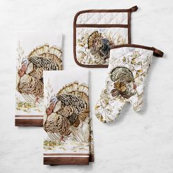 Williams Sonoma Harvest Bloom Oven Mitt & Potholder Set