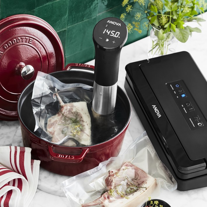 https://assets.wsimgs.com/wsimgs/rk/images/dp/wcm/202319/0010/anova-precision-sous-vide-cooker-with-wifi-o.jpg