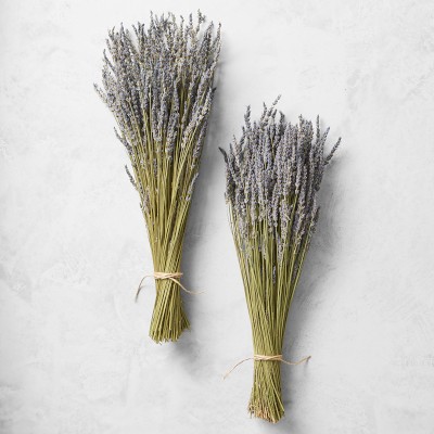 Long Stem Dried Lavender Bundle, Set of 2 | Williams Sonoma