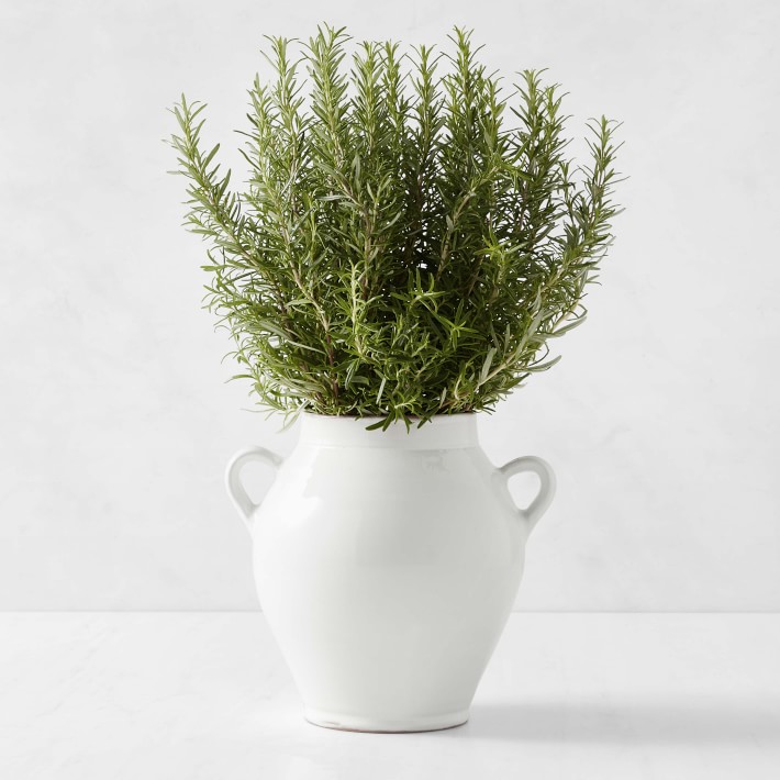 Cache Pot, White