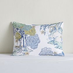 Williams sonoma decorative outlet pillows