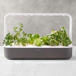 Click and Grow Indoor Garden Systems Williams Sonoma