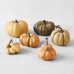 Williams Sonoma Has The Cutest Pumpkin Pot