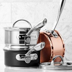 Williams Sonoma Thermo-Clad Stainless-Steel Stainless-Steel