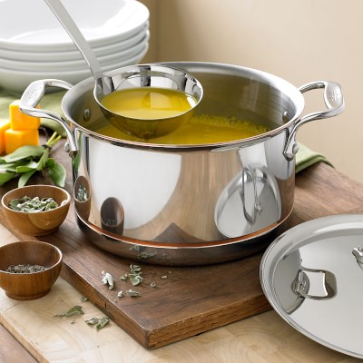 All-clad D3 Stainless Everyday 7-qt Stock pot with lid and All-clad 14  Ladle