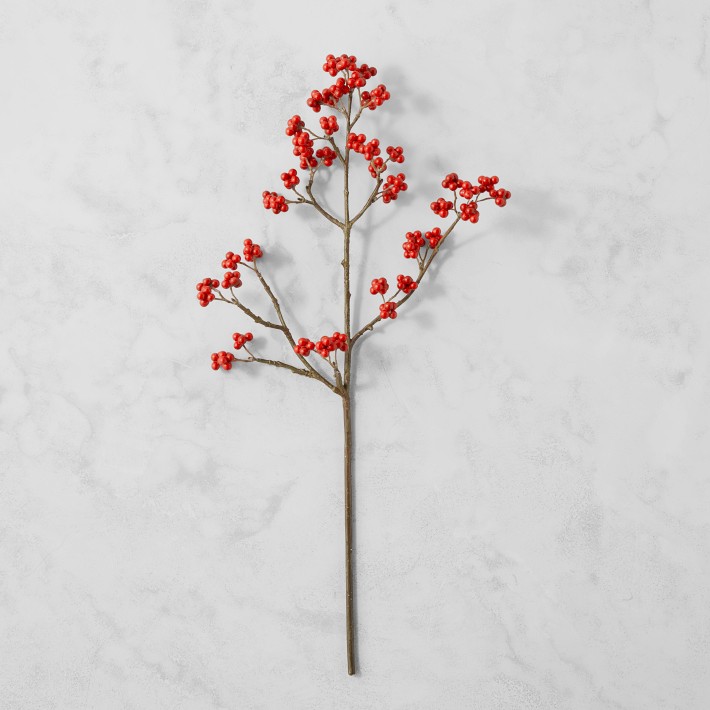 Red Berry Stems on Wooden Shelf · Free Stock Photo