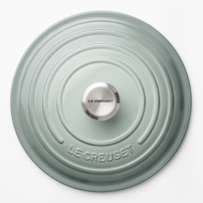 https://assets.wsimgs.com/wsimgs/rk/images/dp/wcm/202332/0243/le-creuset-signature-enameled-cast-iron-round-oven-o.jpg