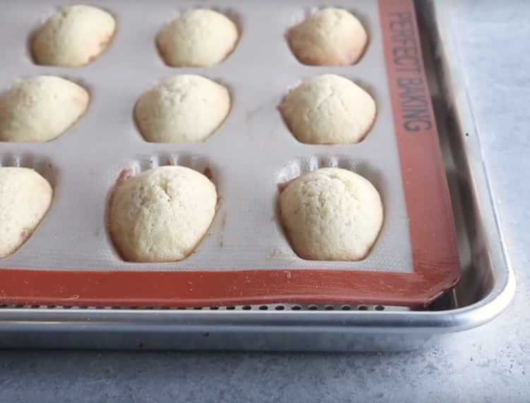 Silpat Silicone Madeleine Pan Williams Sonoma