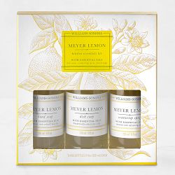 Williams Sonoma Home Monogrammed Soap & Towel Gift Set