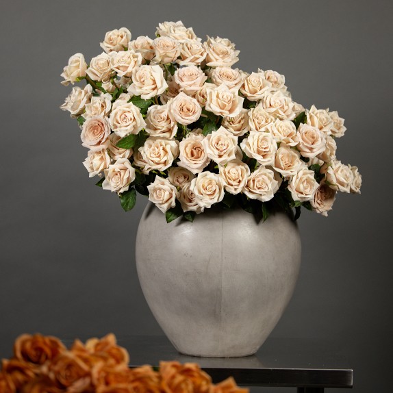 Jeff Leatham Real Touch Faux Quicksand Rose Stems, Set of 12 Williams