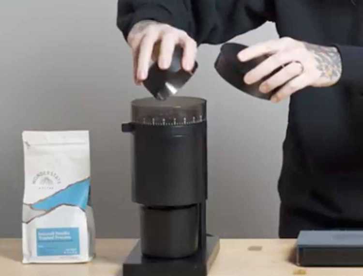 Fellow Opus Conical Burr Coffee Grinder Williams Sonoma