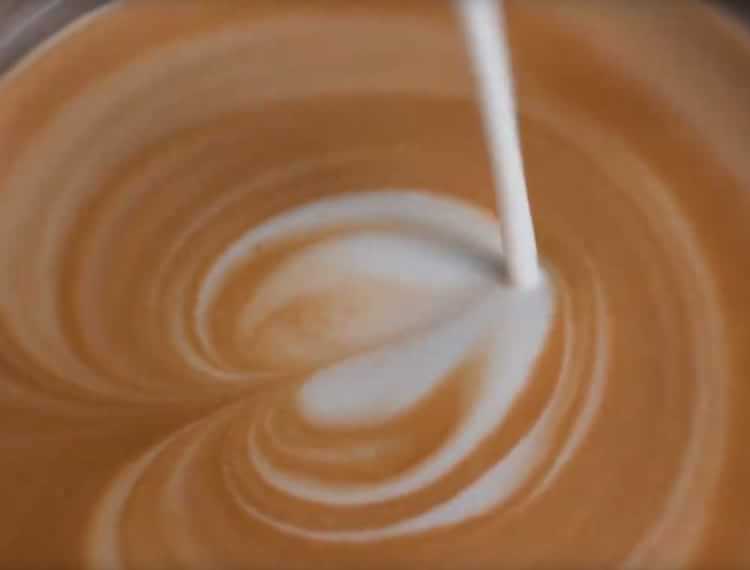 Breville Barista Pro Espresso Machine with Milk Frother Williams Sonoma