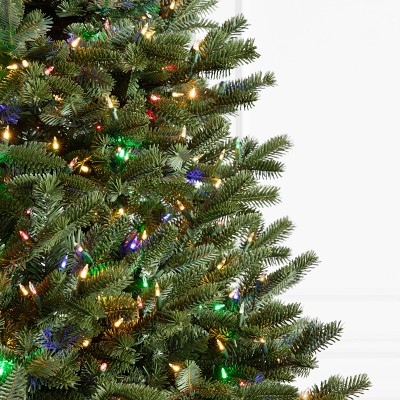 Balsam Hill Most Realistic Fraser Fir Narrow Faux Tree, 6.5'-12 ...