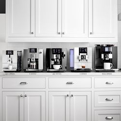 Open Kitchen by Williams Sonoma Matte Coupe Coffee Mug Set -Set of