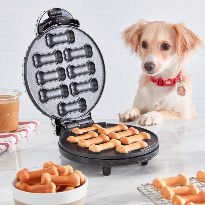 Dash Dog Treat Maker Review: Easy Homemade Dog Treats