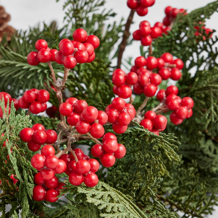 Holiday Stems, Set of 3 Williams Sonoma