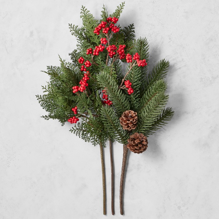 Holiday Stems, Set of 3 Williams Sonoma
