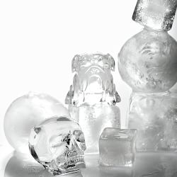 https://assets.wsimgs.com/wsimgs/rk/images/dp/wcm/202340/0073/skull-ice-mold-set-of-2-j.jpg