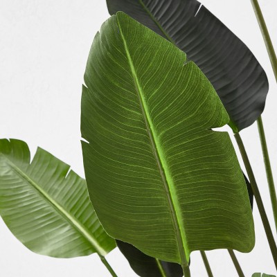 https://assets.wsimgs.com/wsimgs/rk/images/dp/wcm/202340/0074/775-faux-bird-of-paradise-plant-in-plastic-pot-18-leaves-m.jpg