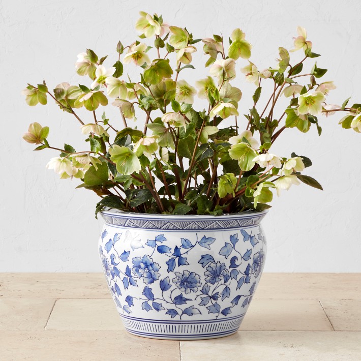 Blue & White Ceramic Planter, Large