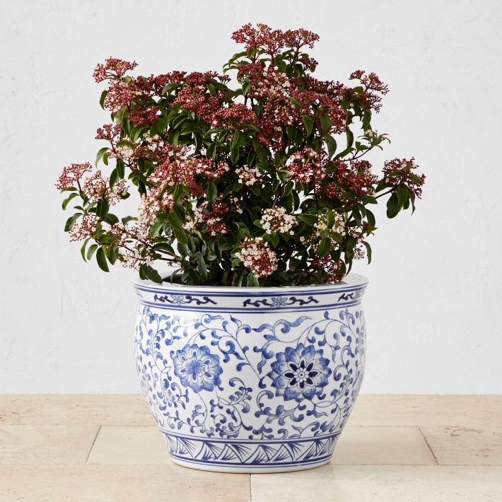 Planters  Porcelain flowers, Flower pots, Porcelain painting