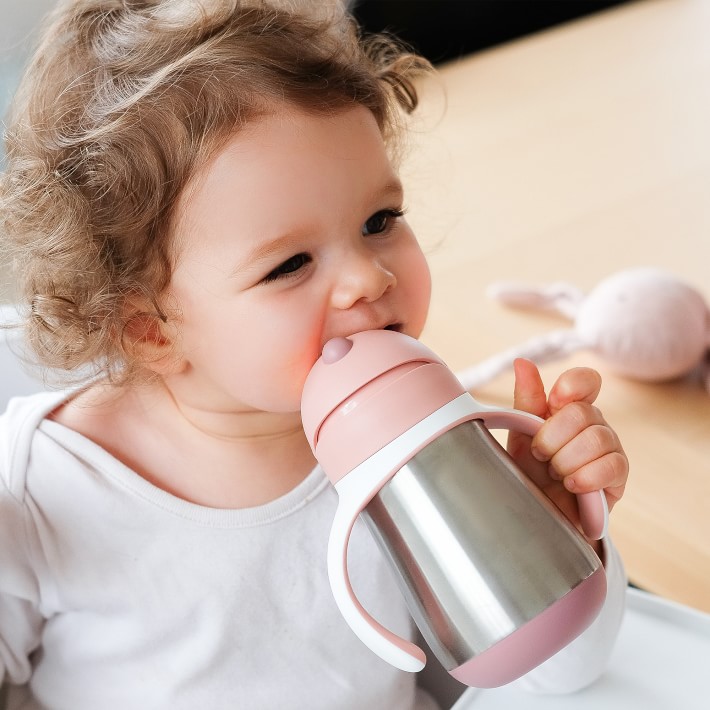 https://assets.wsimgs.com/wsimgs/rk/images/dp/wcm/202340/0104/beaba-stainless-steel-straw-sippy-cup-o.jpg