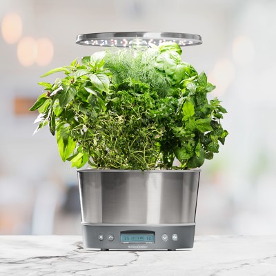 https://assets.wsimgs.com/wsimgs/rk/images/dp/wcm/202340/0138/aerogarden-harvest-elite-360-stainless-steel-m.jpg