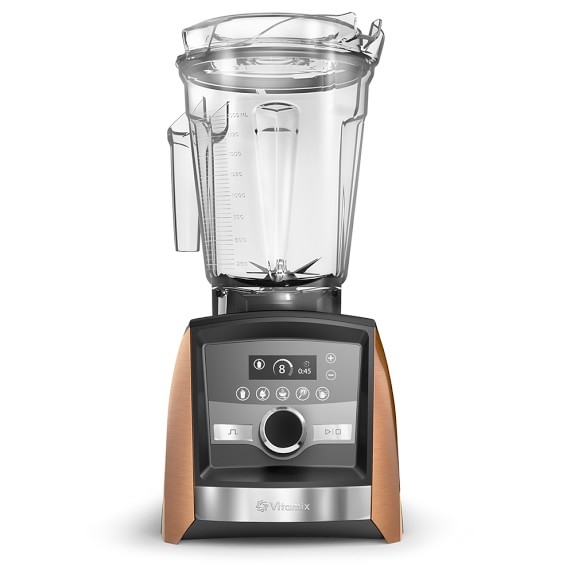 Gray Vitamix  Williams Sonoma