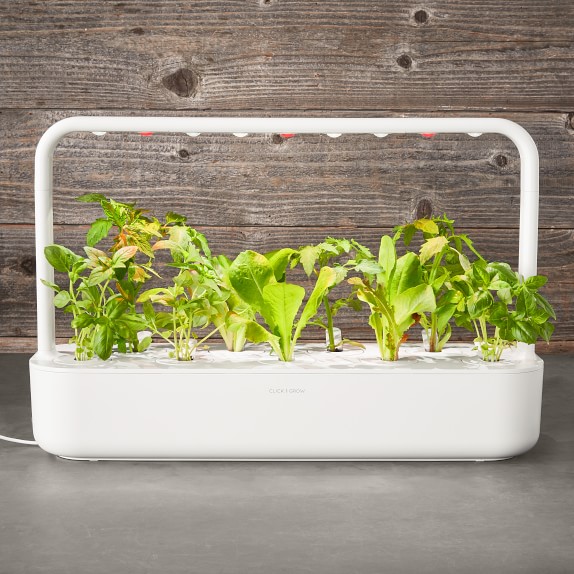 Click and Grow Smart Garden 3 Pod Williams Sonoma