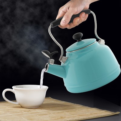 Classic Tea Kettle (Brushed)