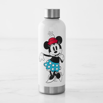 Mickey and Minnie Mouse Stainless Steel Water Bottle with Built-In