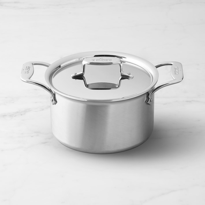 D5 Stainless Brushed 5-ply Bonded Stainless Steel Pot 3 Qt