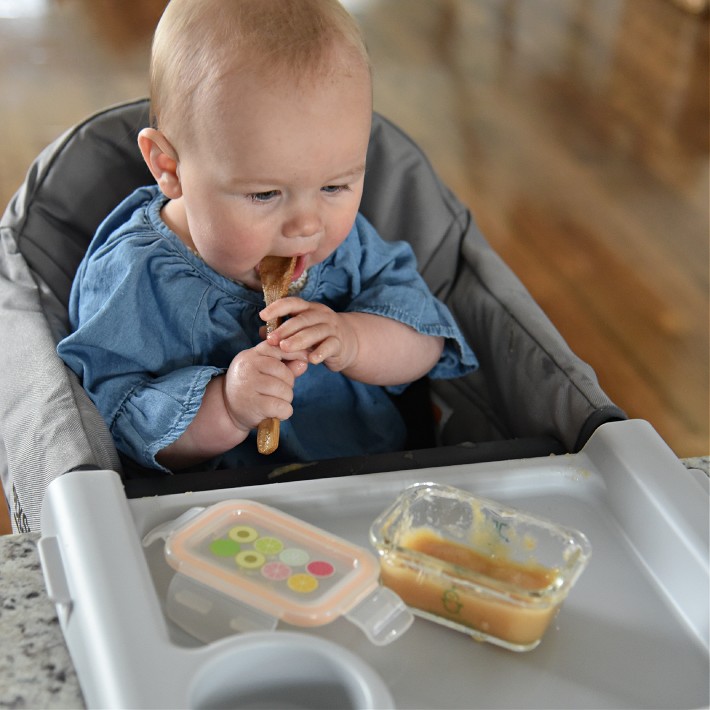 Sage Spoonfuls Baby Food Essentials Bundle