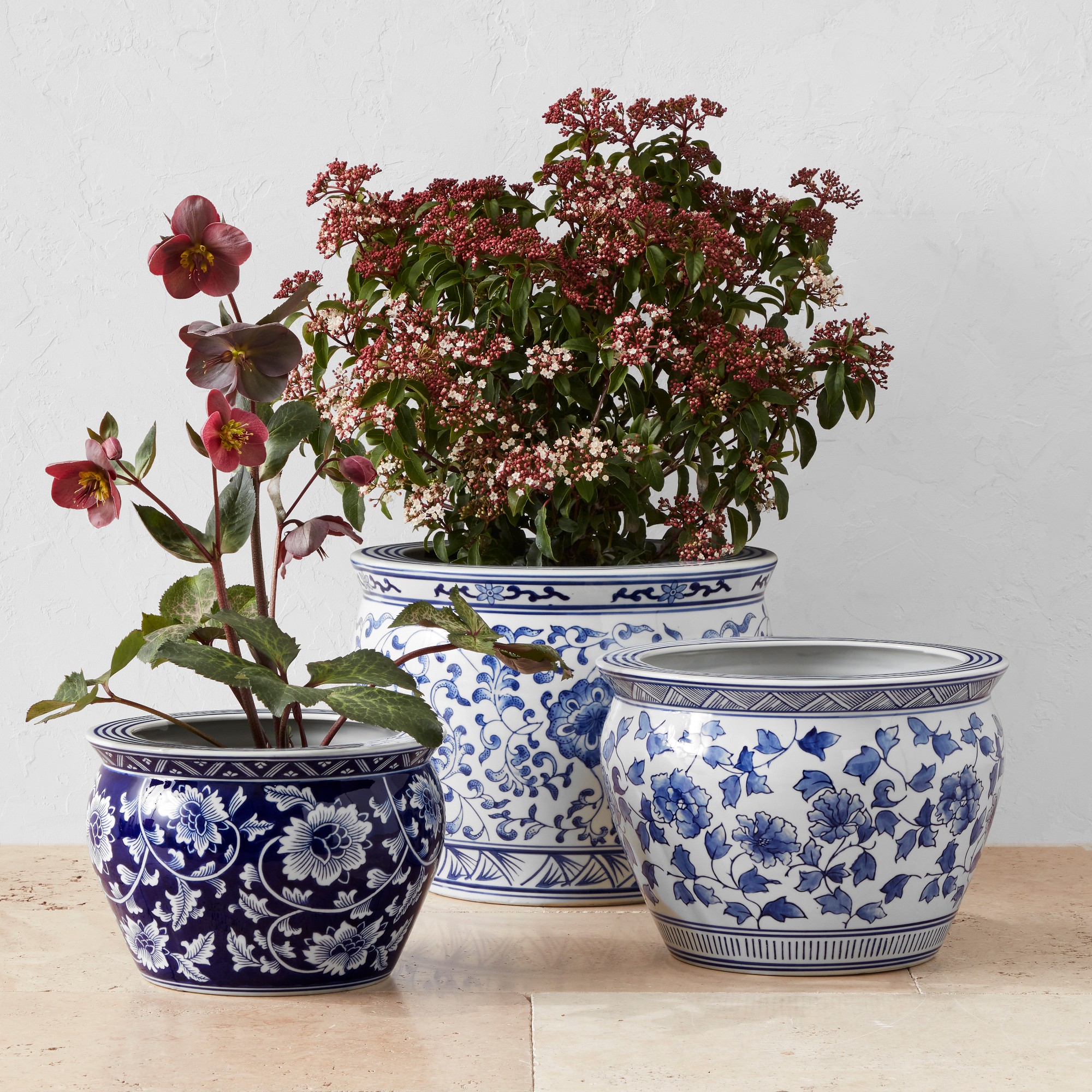 Blue & White Essential Ceramic Planter Set