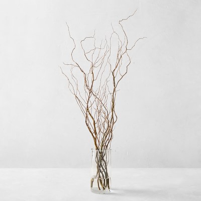 Curly Willow Tree Branch Bundle, 3-4 Feet