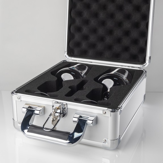 VinGlass Wine Glass Carrying Case Williams Sonoma