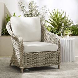 Sonoma Fruit Chair Cushion Set of 2