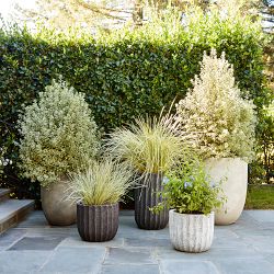 50 Best Outdoor Planters - Beautiful Pots and Boxes for Gardens