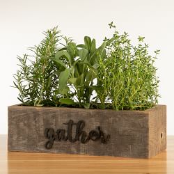 https://assets.wsimgs.com/wsimgs/rk/images/dp/wcm/202344/0032/live-triple-herb-garden-in-gather-wooden-planter-j.jpg