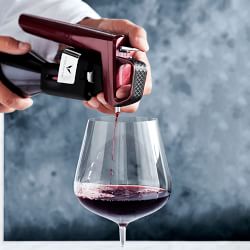 https://assets.wsimgs.com/wsimgs/rk/images/dp/wcm/202344/0045/zwiesel-glas-vervino-burgundy-wine-glasses-j.jpg