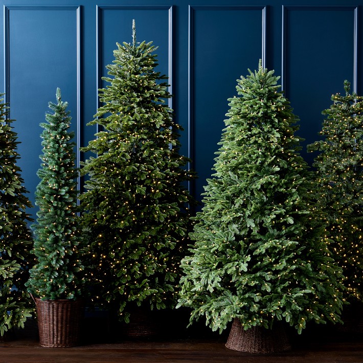 Balsam Hill Most Realistic Balsam Fir Faux Tree, 6.5'12' Williams Sonoma