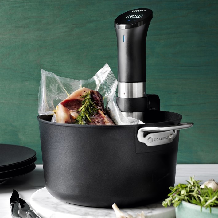 https://assets.wsimgs.com/wsimgs/rk/images/dp/wcm/202345/0025/anova-precision-sous-vide-cooker-with-wi-fi-o.jpg