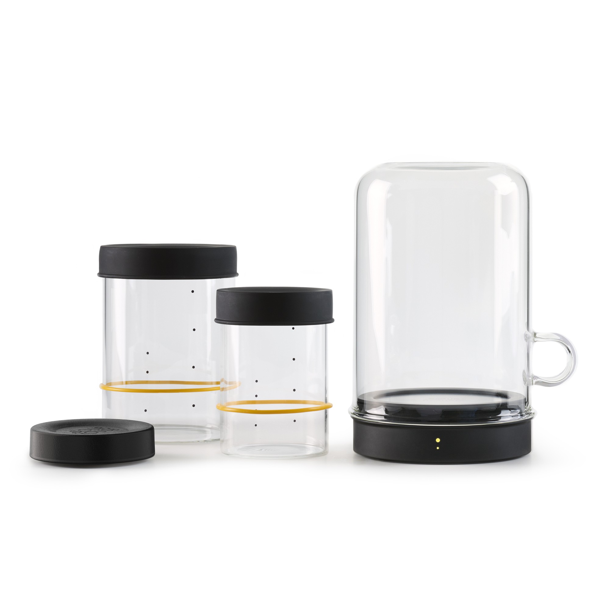 Goldie by Sourhouse™ with Pint & Quart Starter Jars